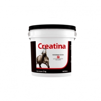 BATATA PALHA FRISHOW CX20X500GR