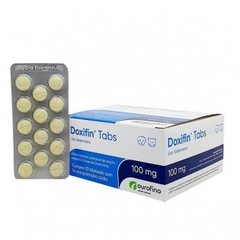 GORGONZOLA QUATA (PEÇA) +-3KG