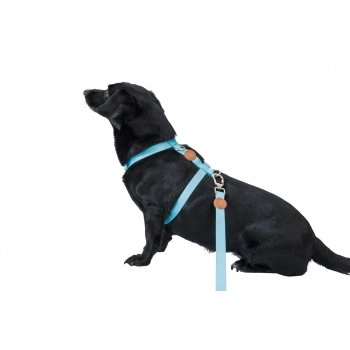 FARINHA DE TRIGO BAGATELLE T45 FORICHER SC 25KG