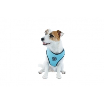 FARINHA DE TRIGO BAGATELLE T65 FORICHER SC 25KG
