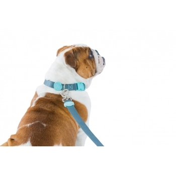AZEITE EXTRA VIRGEM OLITALIA 5L PET